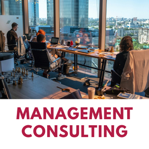 Rensyl Integral Management Consulting