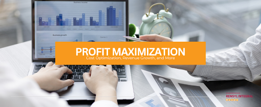 6 Proven Strategies to Boost Company Profits: Unlocking Success Through Cost Optimization, Revenue Growth, and More! | Rensyl Integral | Management and Strategy Consulting Firm Nairobi Kenya